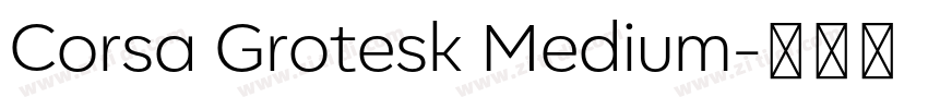 Corsa Grotesk Medium字体转换